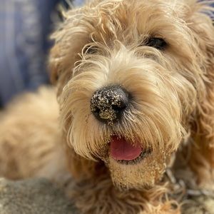 Meet your Posher, Stacey